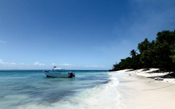 istock Cayo Levantado Beach and small boat harbour 1484172153