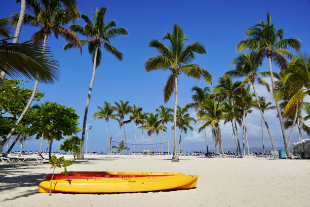 istock Kayak On Cayo Levantado Beach 1484176410
