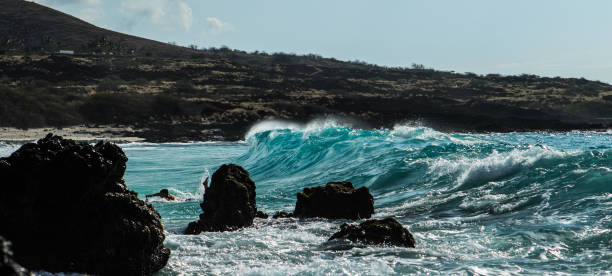 istock Waves Crashing on the Beach Wide Crop 1484176629