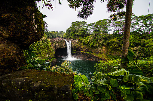 Beautiful Waterfall Lagoon in Rainforest in Hawaii Jungle Tropical Vacation