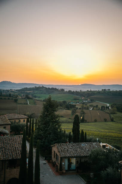 istock Bright and Colorful Tuscan Sunset in fields in Italy 1484191352