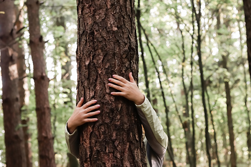 A nature lover hugs a tree trunk in the forest. Green natural background. The concept of people who love nature and protect it from deforestation, pollution or climate change.