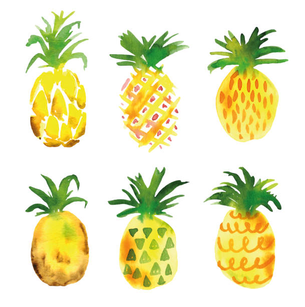 1.200+ Watercolor Frutas Piña Verde Manzana Con Hoja Ilustraciones de ...