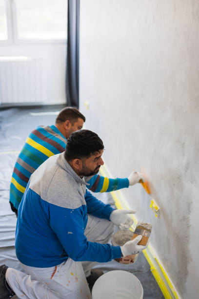 Men painting the walls stock photo