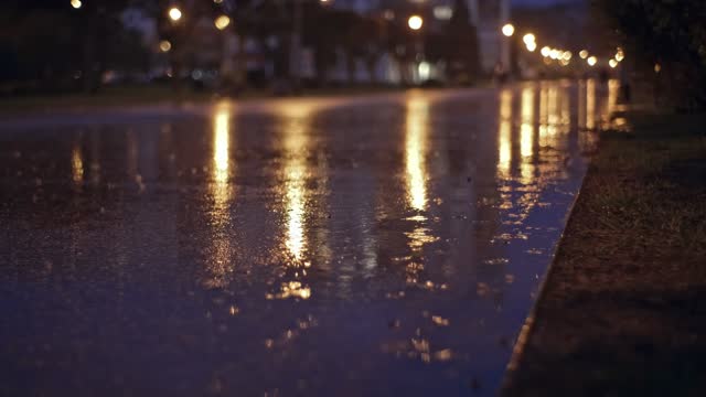 Street Lamps Reflections on Wet Surface of Empty Park Boulevard in Night City on Rainy Evening