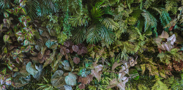istock Herb wall, plant wall, natural green wallpaper and background. 1484204657
