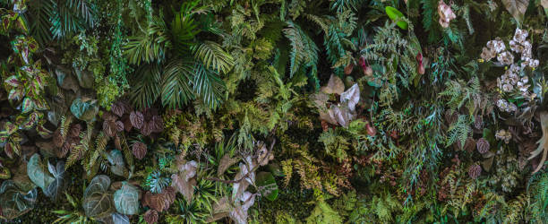 istock Herb wall, plant wall, natural green wallpaper and background. 1484207316