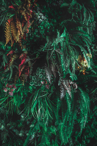 istock Herb wall, plant wall, natural green wallpaper and background. 1484207957