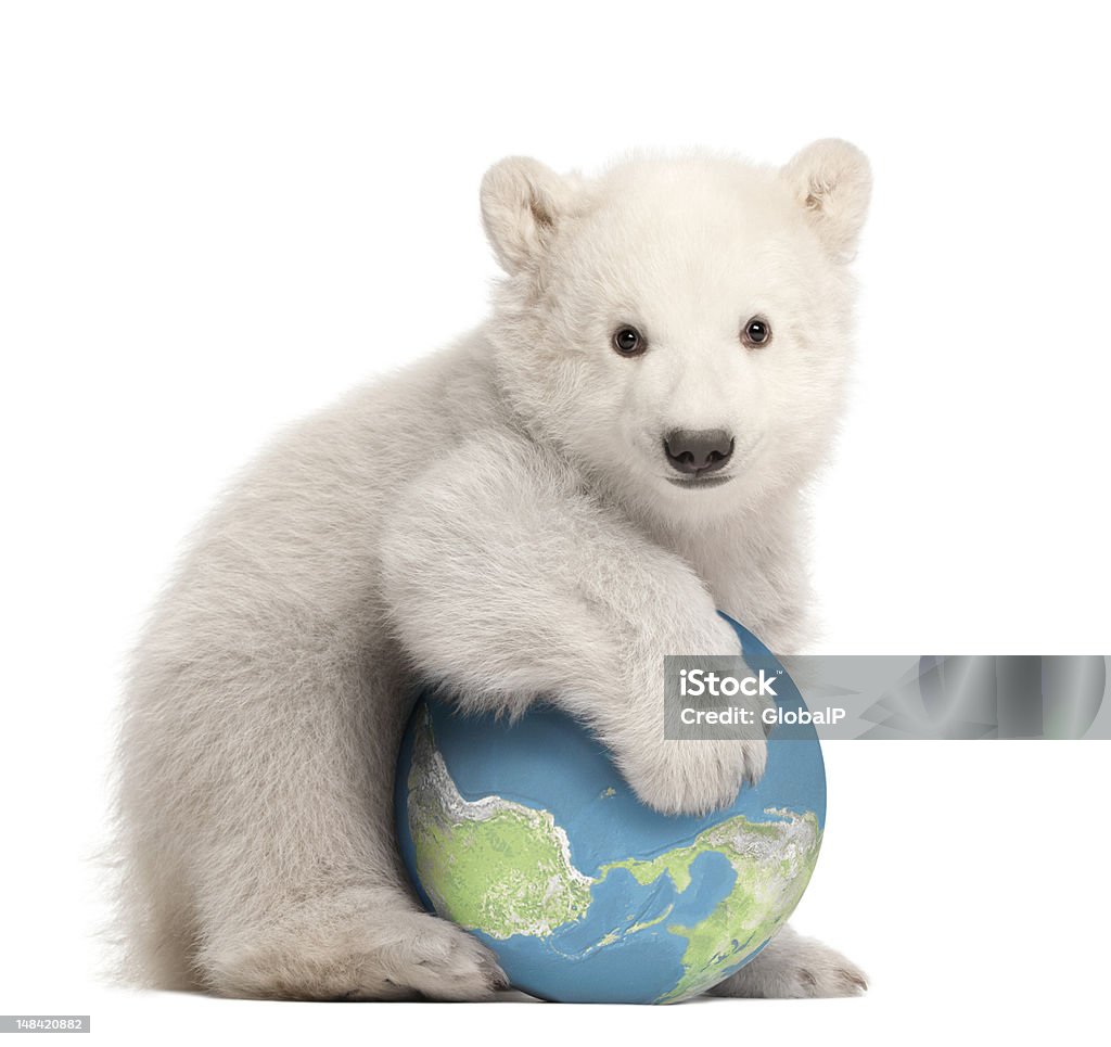 Oso Polar cub retención mundo - Foto de stock de Globo terráqueo libre de derechos