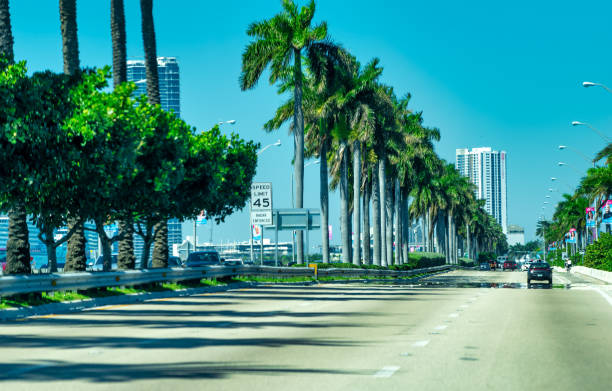 Car traffic in Miami. Cars on a tree-lined boulevard.