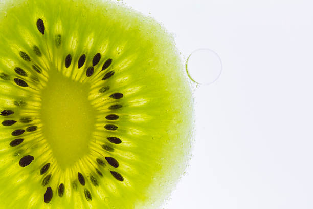 Kiwi and Bubble stock photo