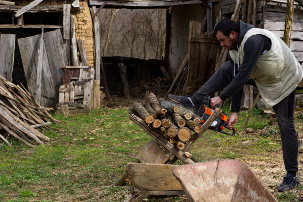 istock Farmer is cutting firewood with a chainsaw 1484210144