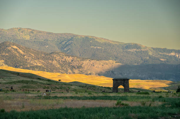 istock Prong Horn Grazes Near Roosevelt Arch 1484213570