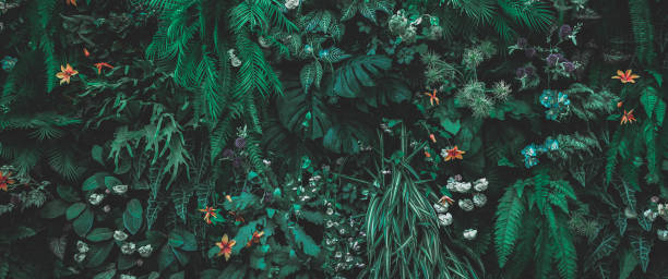 istock Herb wall, plant wall, natural green wallpaper and background. 1484218498