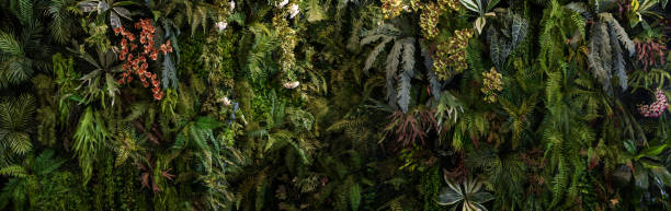 istock Herb wall, plant wall, natural green wallpaper and background. 1484219629
