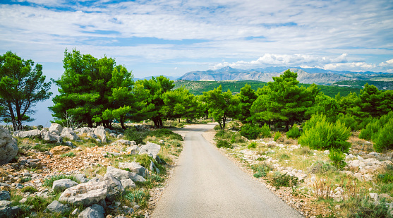 Road and beautiful balkan nature near Dubrovnik, Croatia