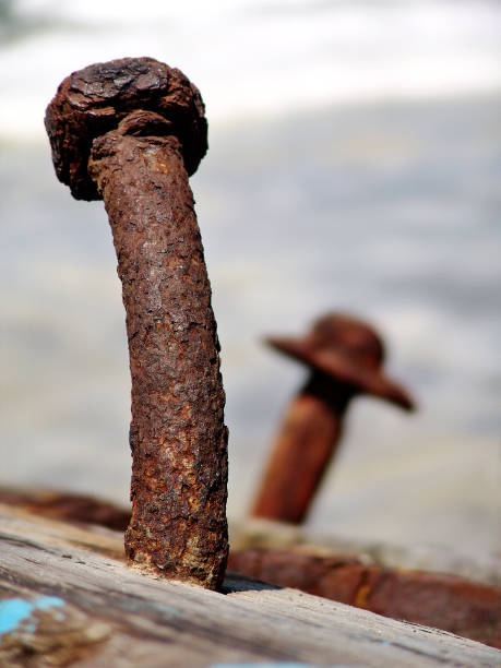 istock Rusty big nails by the sea 1484224486