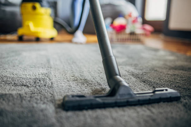 istock Cleaning the apartment 1484225688