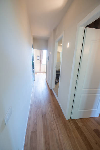 istock Hallway of a modern, bright and spacious apartment 1484225795