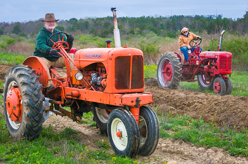 Forestdale, Massachusetts, USA April 22, 2023- A bearded farmer plows a field in preparation for Spring planting on Gopal Farm on Cape Cod with an antique Allis-Chalmers tractor while another cuts a furrow with  an old red Farmsall Tractor on a cool, late April afternoon.