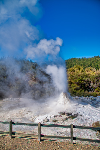Lady Knox geyser is a major attraction of Waiotapu Thermal Park, New Zealand.