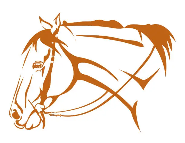 Vector illustration of Horse Head With Bridle