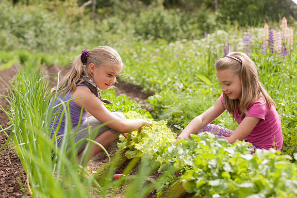 istock Two sisters in garden 148423261