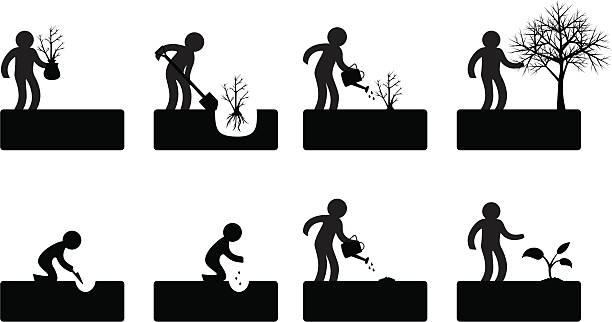 Step-by-step illustrations of a figure gardening vector art illustration