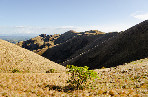 A fabulous mountain for hiking if you've got a keen sense of adventure. It’s an extinct volcano in Costa Rica