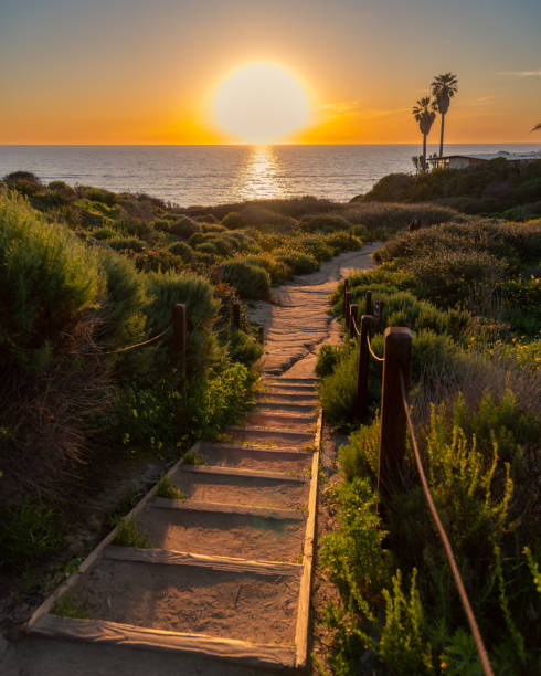 istock Sunset at San Diego's Sunset Cliffs Park 1484237397