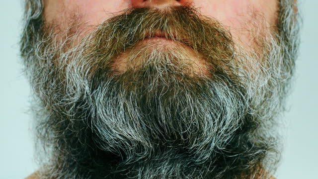 Adult man stroking his big beard. Close-up of a man face with a lush, unkempt gray brown beard and mustache. Barbershop and hairdressing client. Man straightens the long hair on his face with his hand