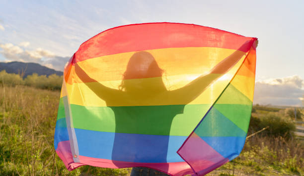 istock Woman silhouette shadow with LGTBI rainbow flag 1484241905