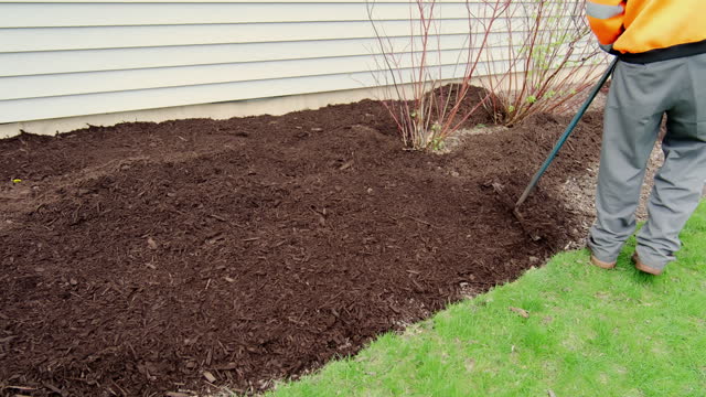 They are leveled with a rake mulch, mulching garden plants with tree bark mulch. Landscape maintenance. Close up shot