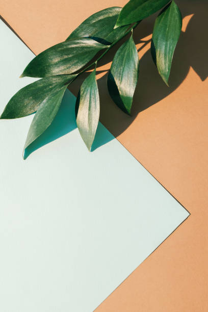 istock floral background natural layout green leaf paper 1484245211