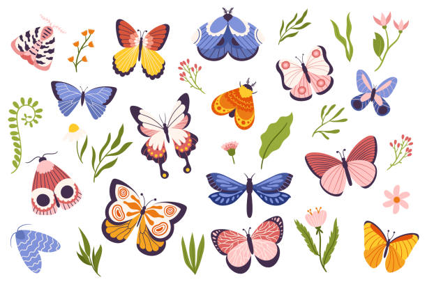 illustrations, cliparts, dessins animés et icônes de ensemble de papillons et de mites colorés, chacun unique en taille, forme et couleur, représentant la beauté et la diversité - spring abstract insect dreams