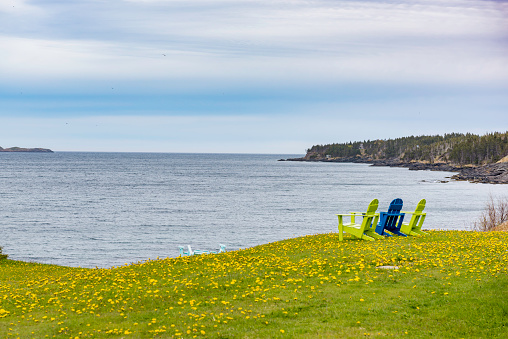 Seascape at Witless Bay, Newfoundland and Labrador, Canada.