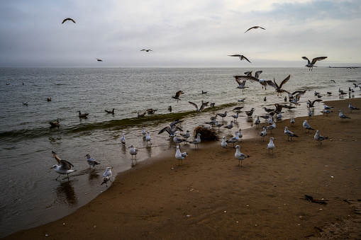 Cludy spring day on Brighton Beach, Brooklyn, NY, USA