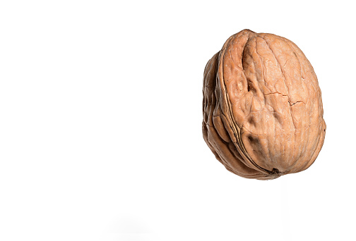 Close-up of a ripe walnut with closed shell on a white background as a concept for walnuts Nuts Autumn and Hard Shell