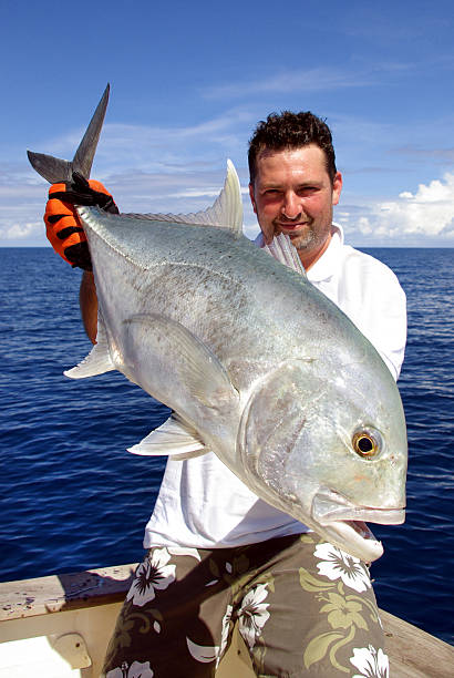 istock Beautiful trevally jack 148425881