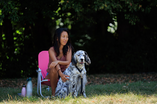English setter dog sitting with owner in nature, friendship