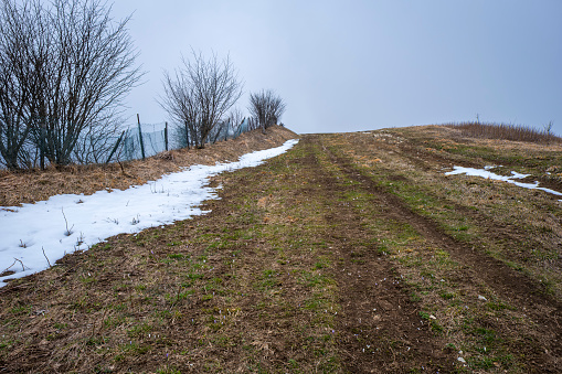 The track to reach the Chiappo Peak, small mountain in the Apennine Mountains at the borders between Lombardy and Piedmont (Northern Italy). During winter is used as ski slope.
