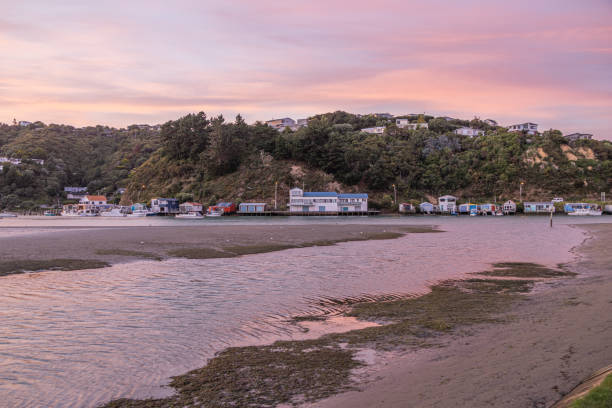 istock Pale pink sky just after dawn 1484267212