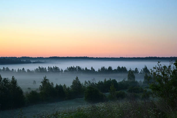 istock Early morning fog 148427127