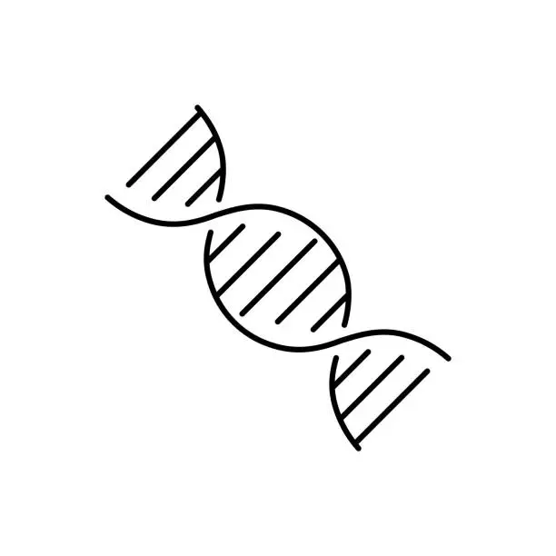 Vector illustration of DNA Helix icon, DNA human genetic symbol vector sign in black flat shape design isolated on white background.