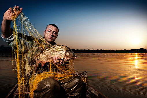 Fisherman in his boat untangling fishing net with catfish in it with beautyful sunset in the background.