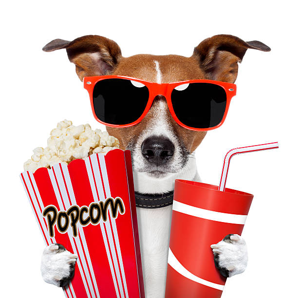 istock dog watching a movie 148428686