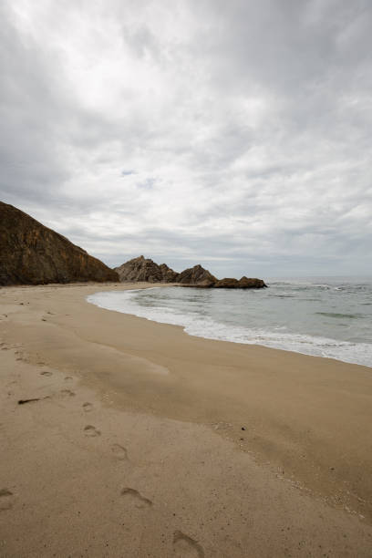 Sandy beach line of McClures Beach, CA