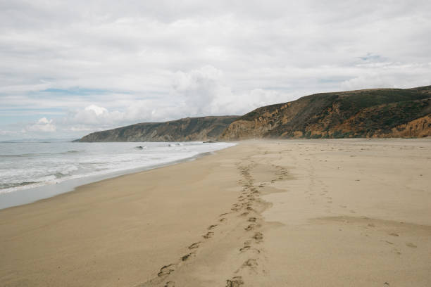 istock Sandy beach line of McClures Beach, CA 1484291201