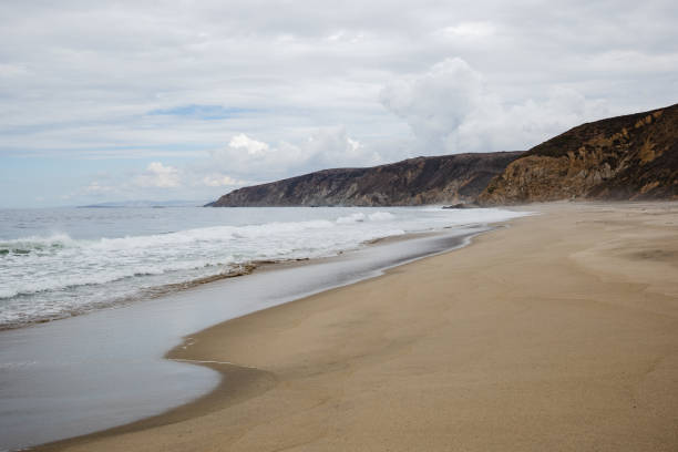 istock Sandy beach line of McClures Beach, CA 1484291255