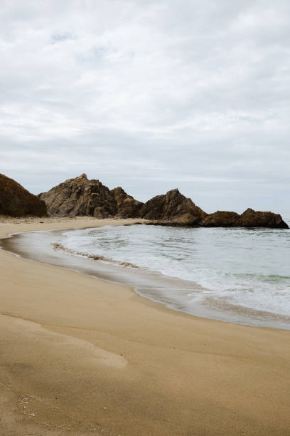istock Rocky outcrop along McClures Beach, CA 1484291261